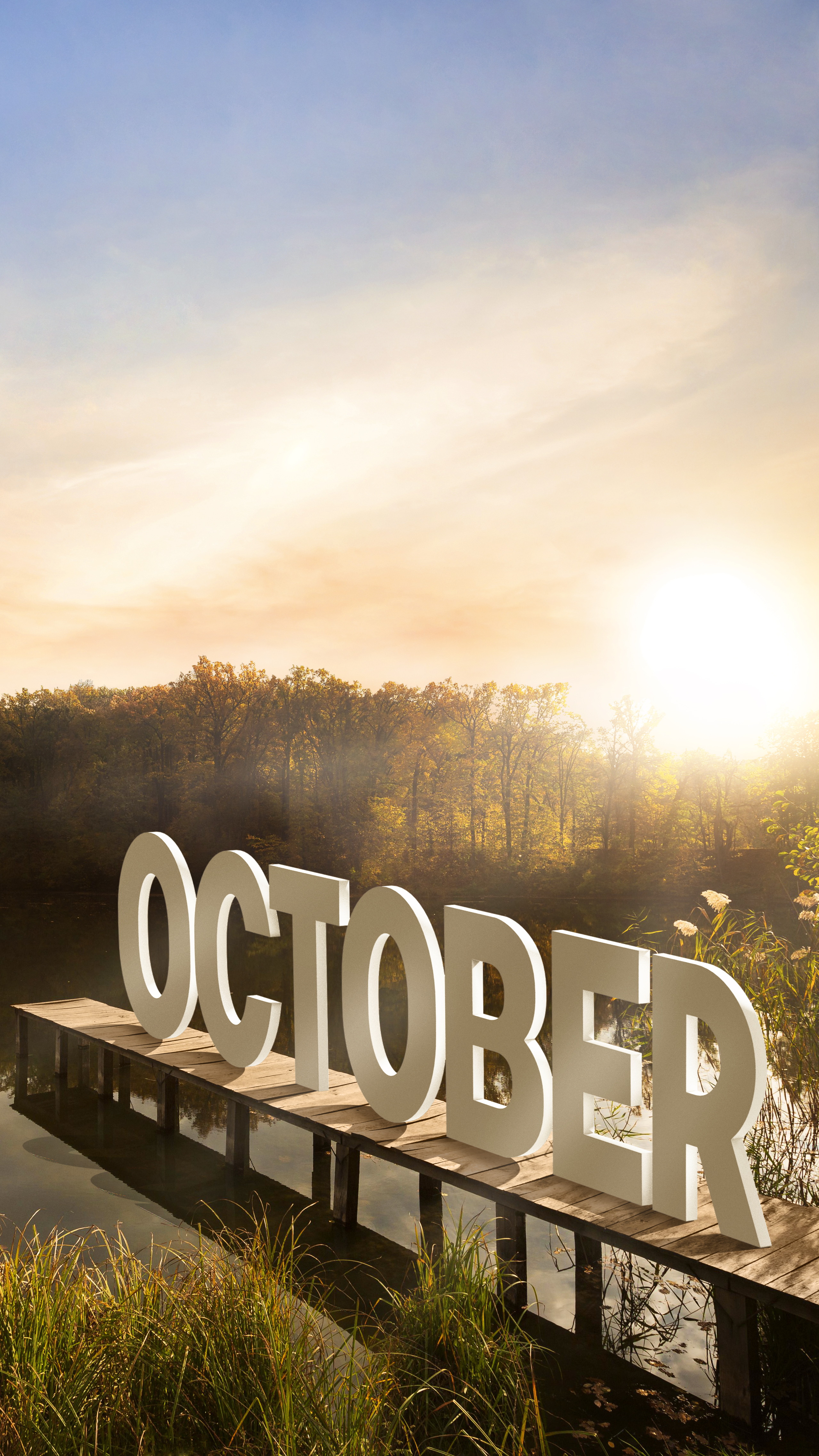 Blog post image: 🌿 Midweek Reflections: Finding Balance on Wednesday, October 1st